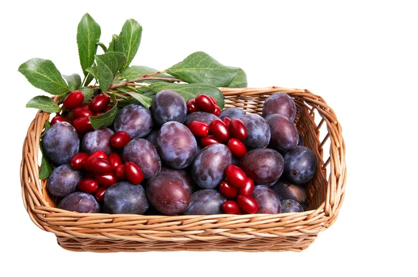 Juicy autumn fruits in the basket.. — Stock Photo, Image