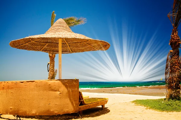 Vacker tropisk strand i Egypten. — Stockfoto
