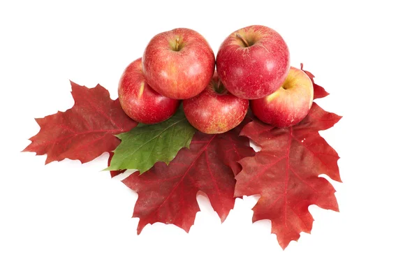 Herbstliche Fruchtzusammensetzung. — Stockfoto