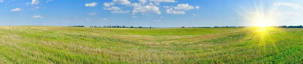 Empty bristly field after crop. — Stock Photo, Image