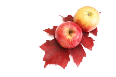 Autumnal fruits on a white. clipart