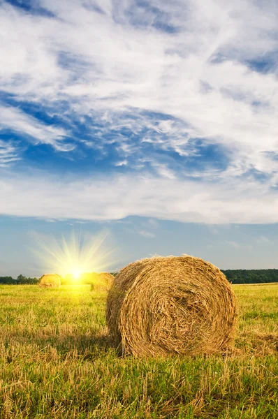 Haystacks and stubble by summertime. — Stock Photo, Image