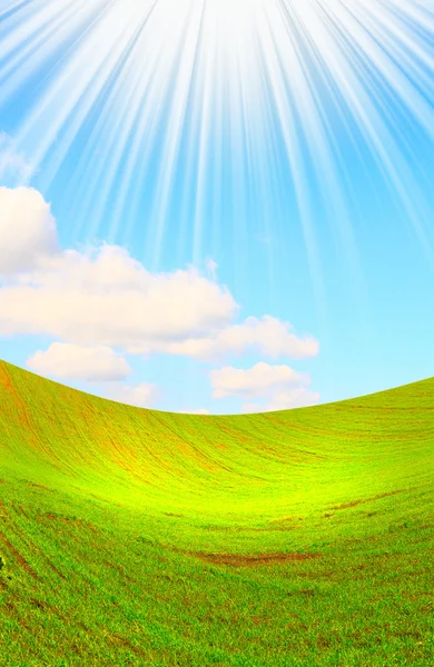 Promienie słońca i zielone pole w lecie. — Zdjęcie stockowe