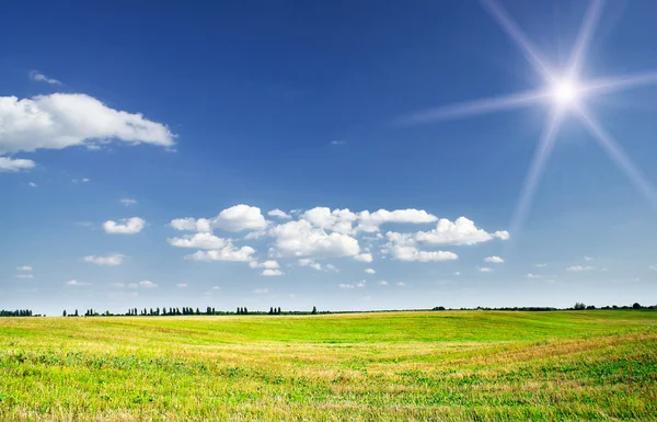 Visa av nyklippt fält av vete och fantastiska blå himmel med vita clou — Stockfoto
