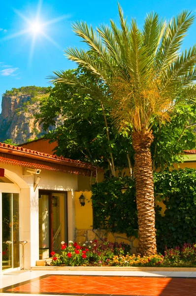 Fin blå himmel, roliga solen, palm och hus. — Stockfoto