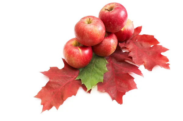 Autumnal fruit composition. — Stock Photo, Image