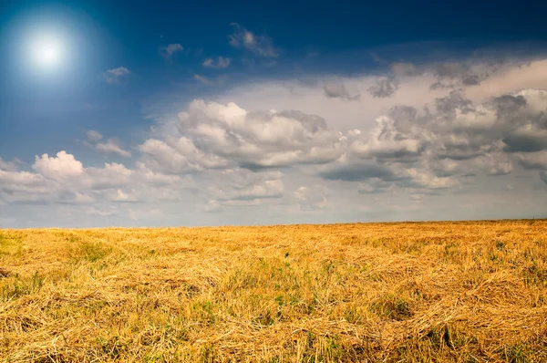 Sklizeň pšenice a strniště v létě. — Stock fotografie