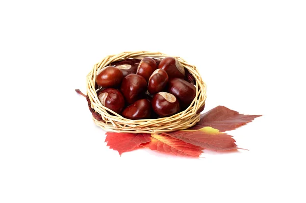 Autumn picture of leaves and chestnuts. — Stock Photo, Image