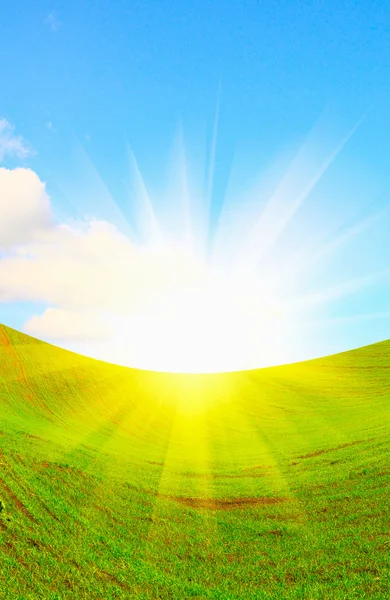 Letní slunce a zelená pole. — Stock fotografie