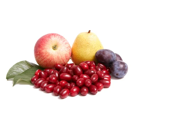 Soczyste owoce jesień na białym. — Zdjęcie stockowe