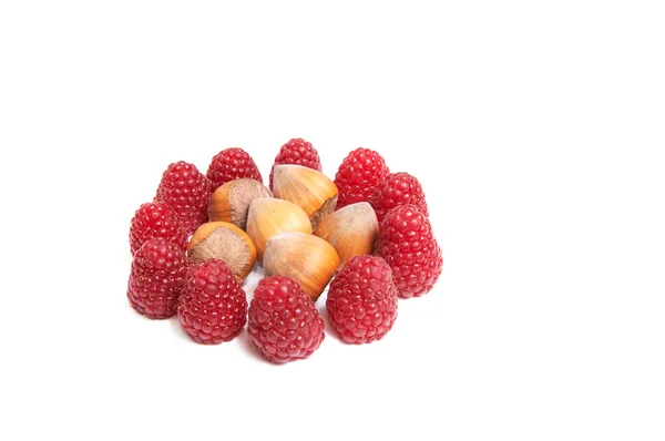 Juicy raspberries and hazelnuts on a white. — Stock Photo, Image