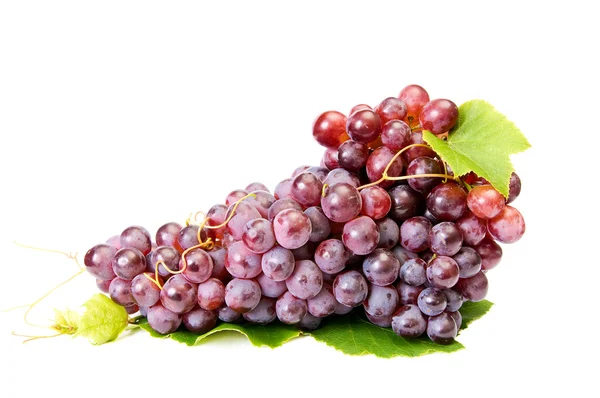 Uvas maduras e saborosas em um branco . — Fotografia de Stock
