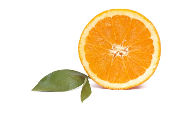 Hojas maduras de color naranja y verde  . — Foto de Stock