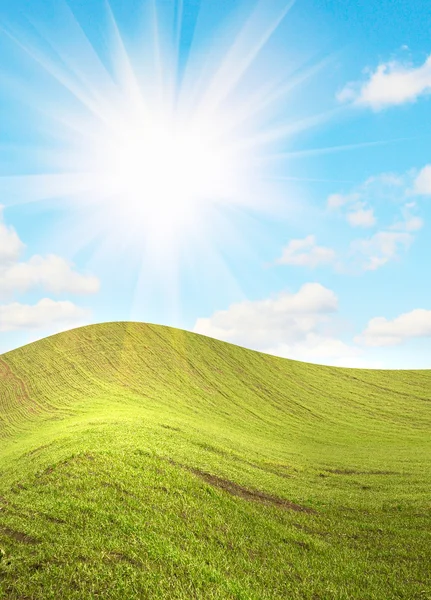 Prachtige zon balken en groene veld. — Stockfoto