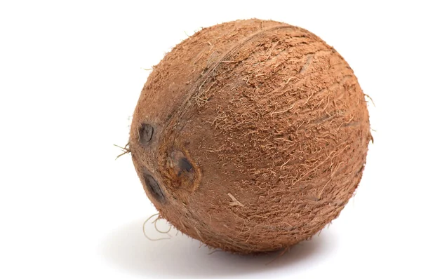 흰색 바탕에 멋진 코코넛. — 스톡 사진