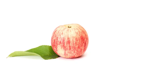 Soczyste jabłko i zielony liść na białym tle. — Zdjęcie stockowe