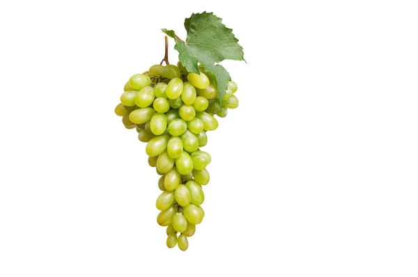 Tasty grape on a white — Stock Photo, Image