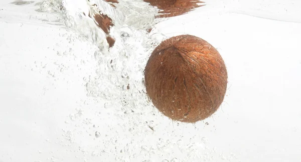 stock image Shaggy coconut in fresh water.