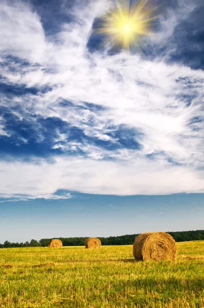 Field with bales against tender sun in the blue sky. — Stock Photo, Image