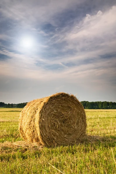 Rural landscape of haystacks. — Stock Photo, Image