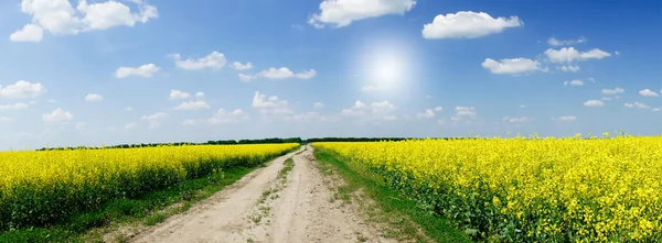 Fantastiskt gult fält av rapsfrön och den blå himlen med moln. — Stockfoto
