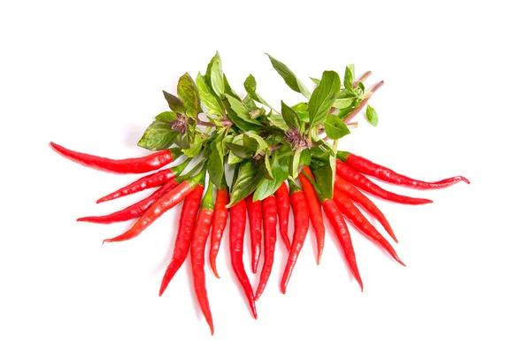 Green basil and red peppers on a white. — Stock Photo, Image