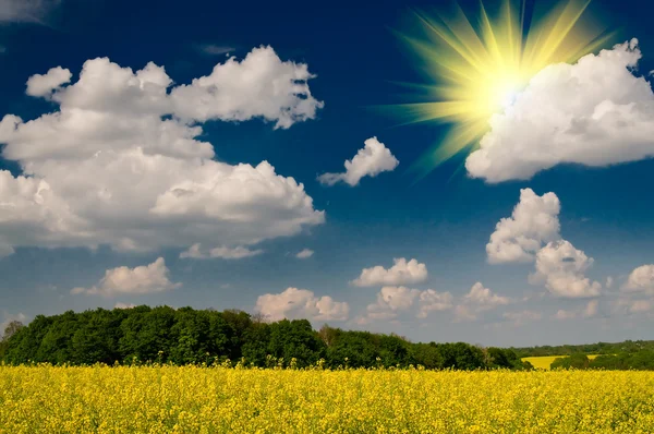 Charme Rapsfeld und Wolkenlandschaft mit Sonnenstrahlen im Frühling. — Stockfoto
