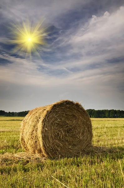 Красивое соломенное поле с тюками сена к лету . — стоковое фото