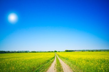 Countryside road and golden field of rapeseeds. clipart