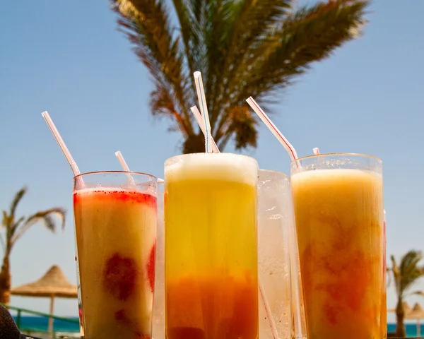 Fresh cocktails opposite big palm. — Stock Photo, Image
