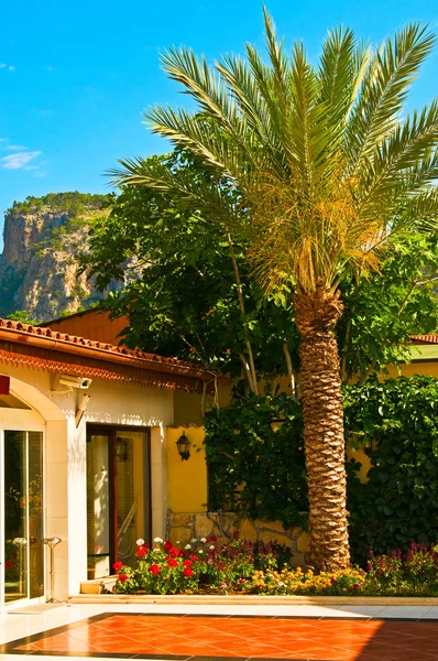 Mooie blauwe hemel, palm en klein huis. — Stockfoto