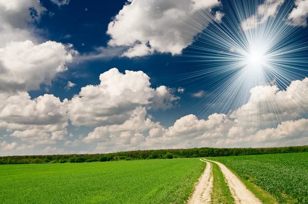 Unusually beams above spring field. — Stock Photo, Image
