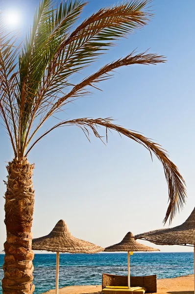 Bela praia tropical no Egito . — Fotografia de Stock