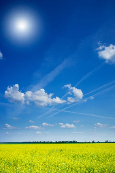 Řepky a řepice a nádherné cloudscape. — Stock fotografie