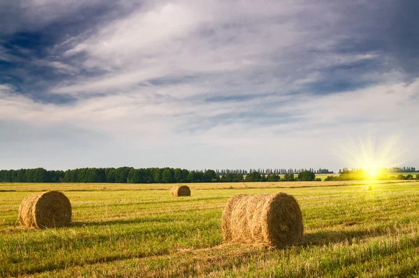 Haystack and stubble by summertime. — Stock Photo, Image