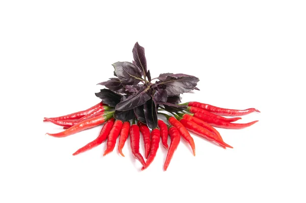 Paarse basilicum en rode paprika's op een wit. — Stockfoto