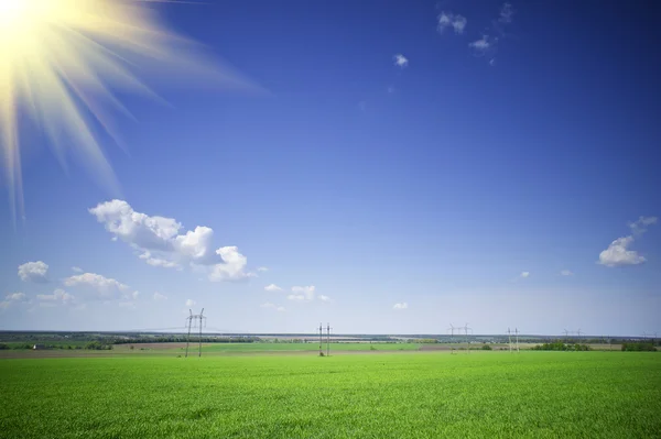 Meraviglioso campo verde e piloni elettrici . — Foto Stock