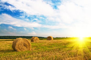 Haystacks and stubble by summertime. clipart