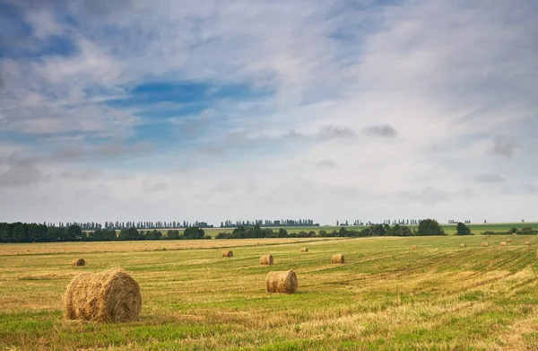 Красивое соломенное поле с тюками сена к лету . — стоковое фото