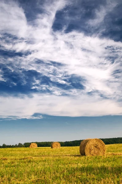 Haystack and stubble by summertime. — Stock Photo, Image