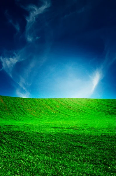 Pěkný pole malé pšenic jaro. — Stock fotografie