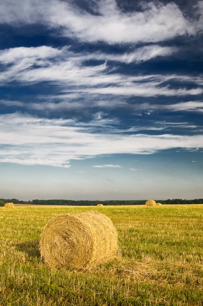 Field with bales against tender clouds. — Stock Photo, Image