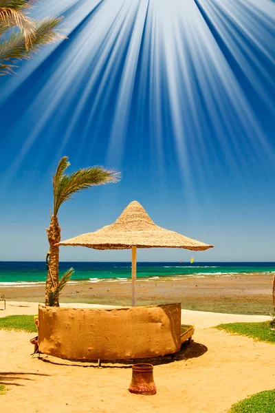 Palma, guarda-sol e mar contra o céu azul . — Fotografia de Stock