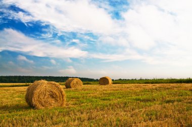 haystacks ve anız yaz tarafından.