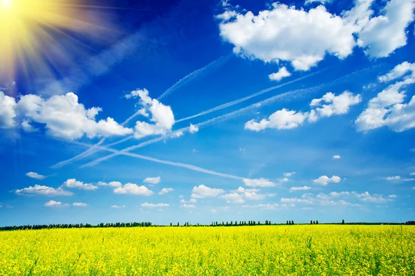 Rapefield medál és cloudscape a napsugarak — Stock Fotó
