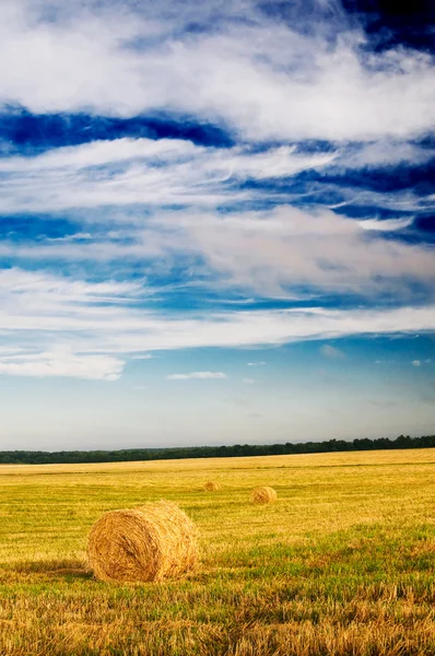 Field, three bales and amazing blue sky with white clouds. — Stock Photo, Image