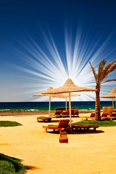 Palme, Sonnenschirm und Meer gegen blauen Himmel. — Stockfoto