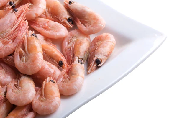 stock image Shrimps on a square dish