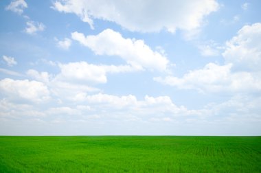 Green Field clipart