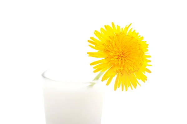 Salud en la leche — Foto de Stock